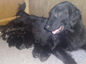 Lilly and her family