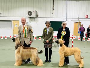Finlay wins his first Reserve CC at 13 months old