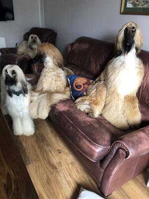 everyone pose