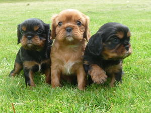 POSING WITH HIS BROTHER AND SISTER