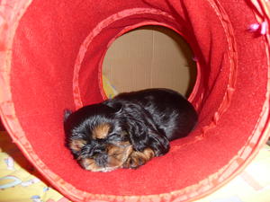 SLEEPING IN HIS TUBE