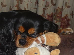 HAVING A LITTLE SLEEP