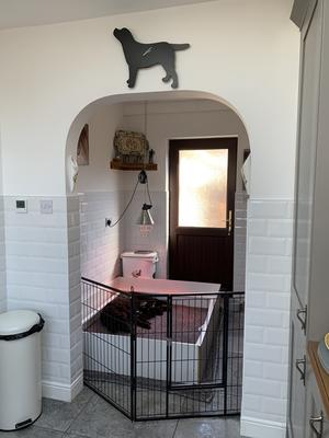 Whelping area off our kitchen