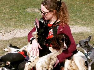 Cuddles with Springers