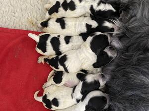 Feeding from Mum Sophie