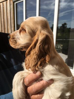 PROFILE IN THE SUN SHINE