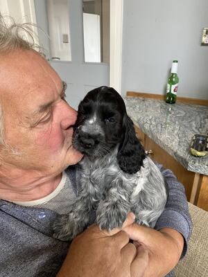 BIG CUDDLES ON DEMAND!