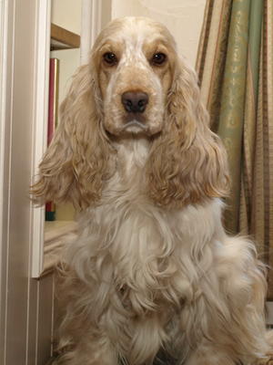 Lilly