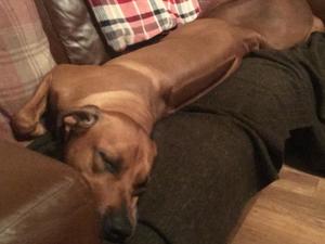 Grace sleepiing wih her Granny on the Sofa