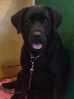 Rudidale's Top Secret