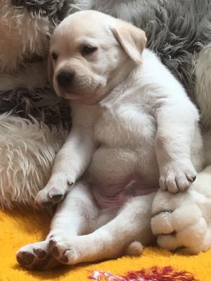 Tired out!