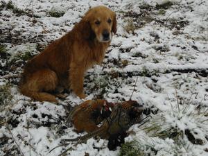 Max out picking up