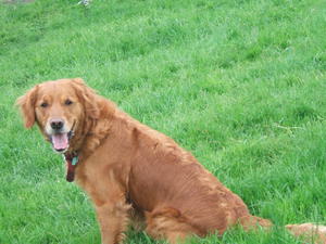 TILLY