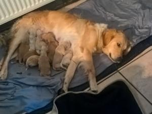 Relaxing with her babies