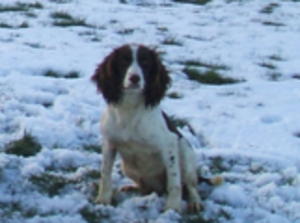 Skye