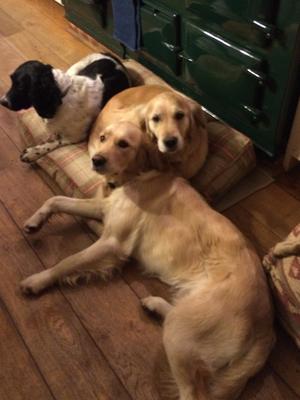 Granny, Mummy and Auntie - just chillin'