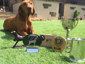 Uno's Field Trial awards this season 2015/16