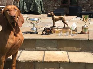 Rusti's Trialling awards this year