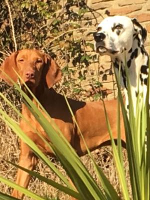 Rhea and her friend Mo