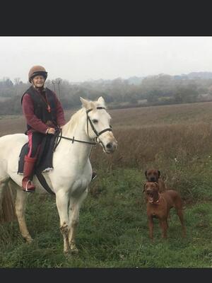 Riding out round the farm with dogs