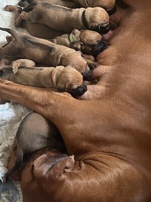 Feeding time!