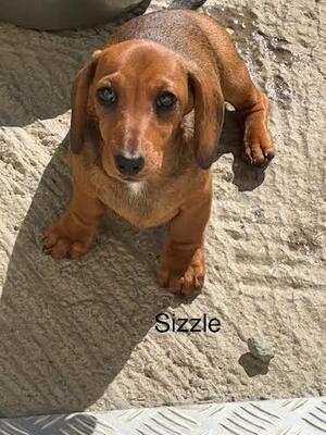 Sizzle pretty red girl loves her tummy rubbed