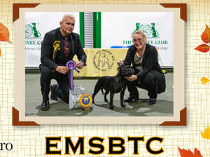 Jasper winning Best Puppy in Show