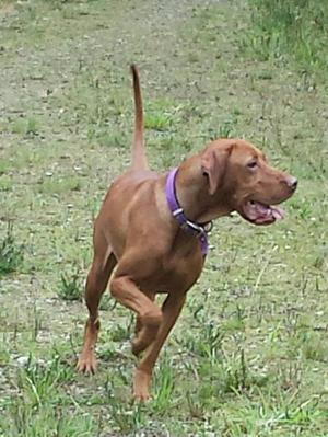 MEEKA