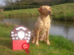 Jelly - Novice Winner & Intermediate Award Winner