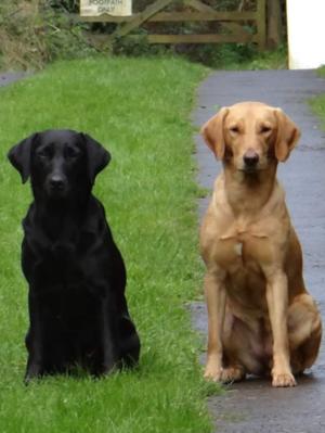 Lollie and daughter Eva