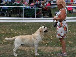 Sh Ch Mattand Exodus JW