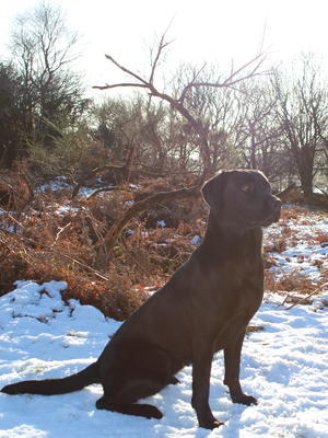 Elsa always marking the birds!