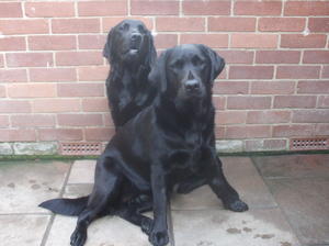 Evie front with her mum