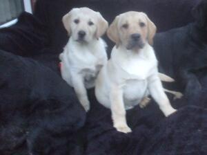 Double trouble