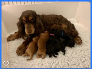 Gabi with her babies