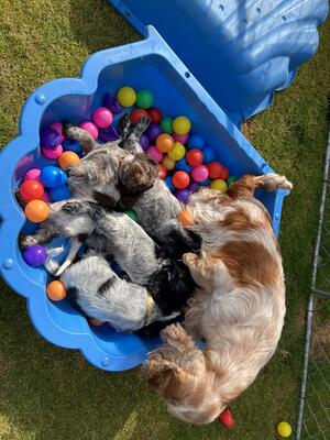 Playing outside