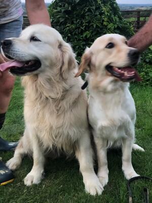 Mum Martha and Dad Basil