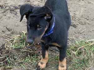 Born 8-11-19