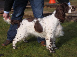 Petranella Perfick Hussey of Allenie 