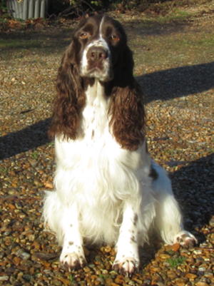 Mum (Izzy) Harvancourt Exclusively Petranella
