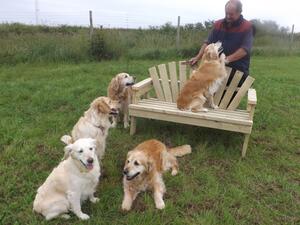 Our Golden family June 2021