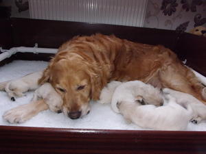 Autumn Proud mum with her new family