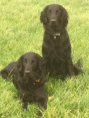 Meg on right, sister Ruby on left
