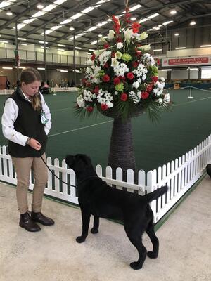 Smokeycot Keepsake Glory