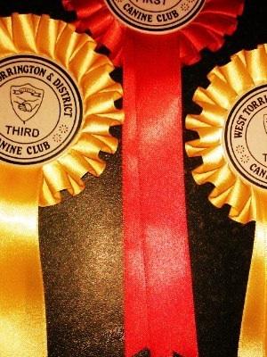 1st place And 3rd place x 2