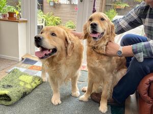 Tagg & Margot - the parent’s.