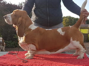 MUM DAPHNE