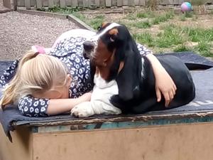 LOLA & MAISY