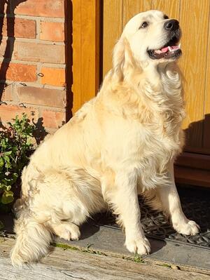 Aidan, always smiling!