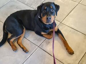 Eylifergs Alwaysthere